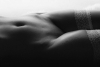 bodypartsw