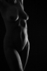 torso