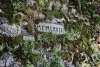 MCMLXXII
