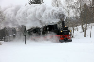 Dampflokomotive 99 1594-3 fährt durch tief verschneite Winterlandschaft im Preßnitztal mit intensiver Dampfentwicklung